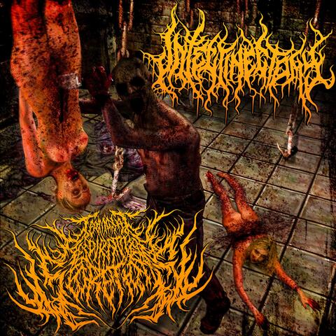 Terminal Respiratory Secretions Split album art