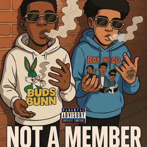 Not a Member album art