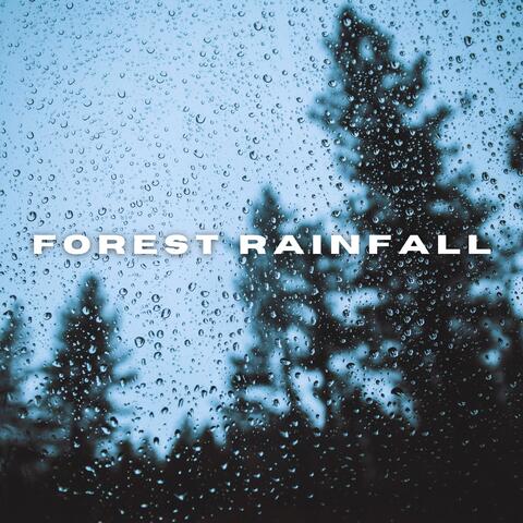 Forest Rainfall album art