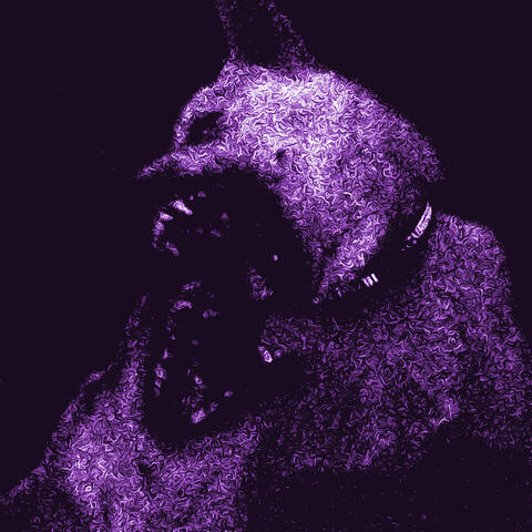 BRIGA DE CÃES album art