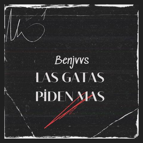 Las gatas piden más album art