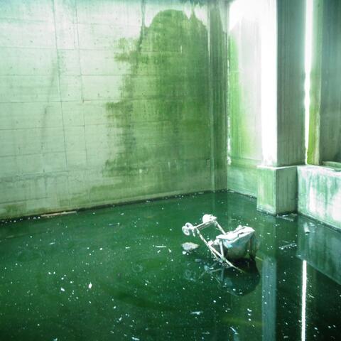 Gabbiaradice album art