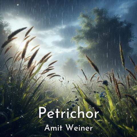 Petrichor album art
