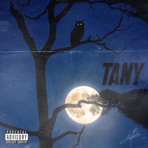 Tany album art