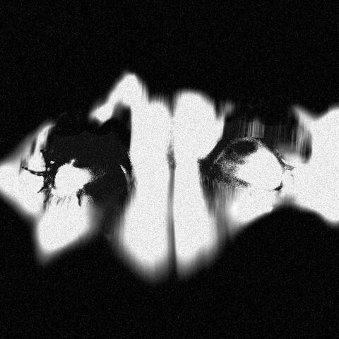 SET album art