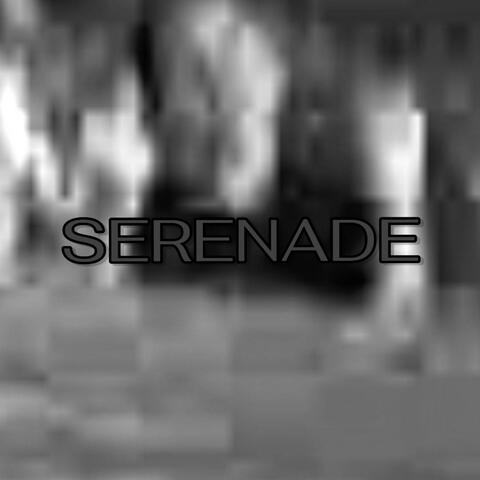 SERENADE album art