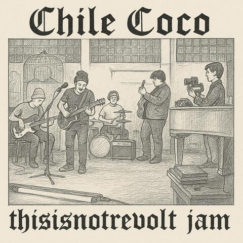 ThisisnotreVolt jam session album art