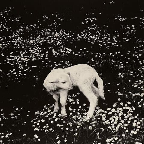 Sleeping Pills album art