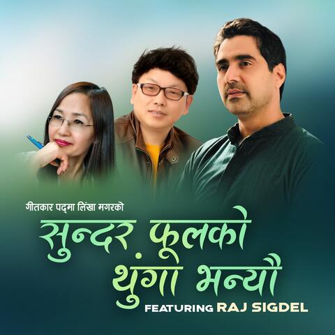 SUNDAR PHOOLKO THUNGA album art
