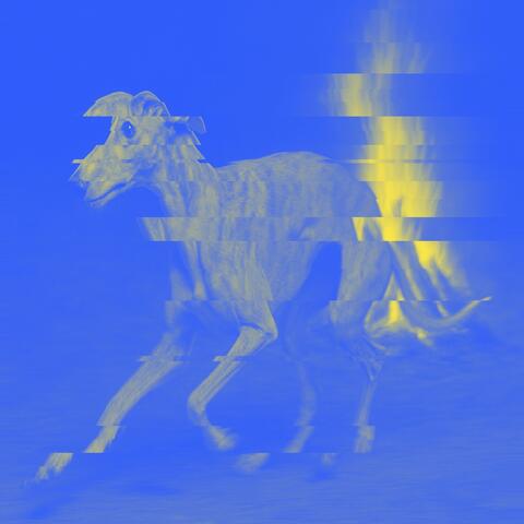 PERRO DE CAZA album art