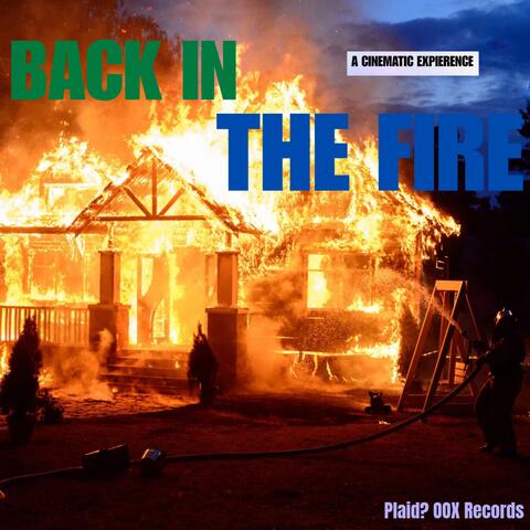 BACK IN THE FIRE album art