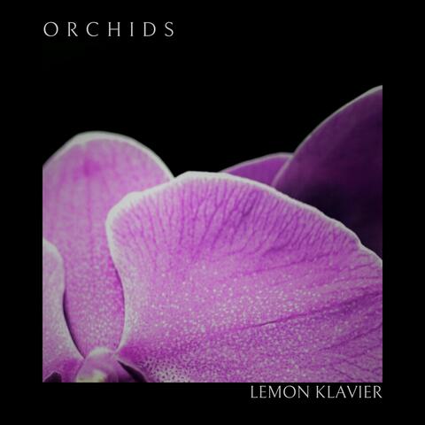 Orchids album art