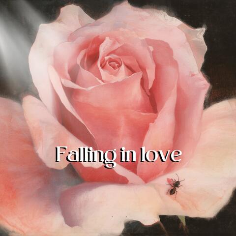 Falling in Love album art