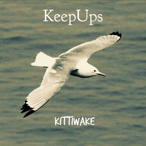 Kittiwake album art