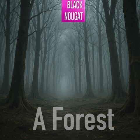 A Forest album art