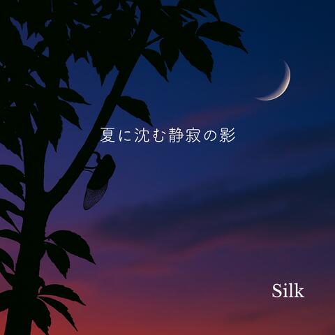 夏に沈む静寂の影 album art