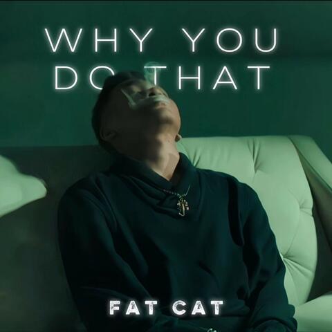 Why You Do That album art