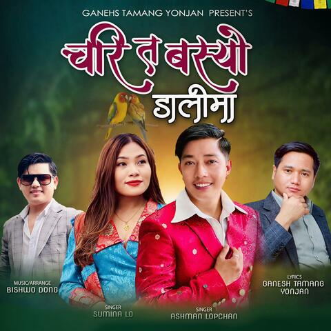 Chari Ta Basyo Dalima album art