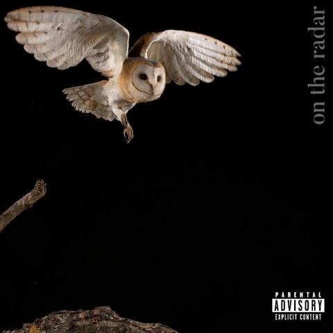 on the radar album art