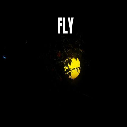Fly album art