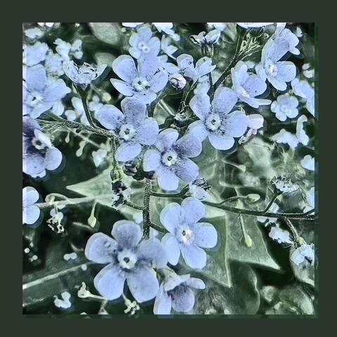 Denouement album art
