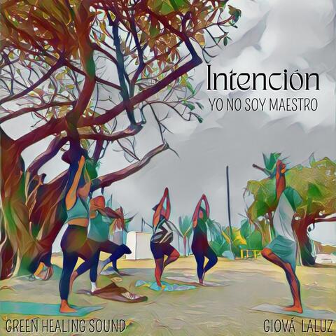 Intención (Yo No Soy Maestro) album art
