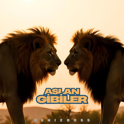 Aslan Gibiler album art