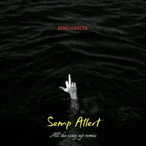 SEMP ALLERT album art