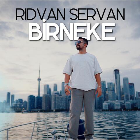 BİRNEKE album art