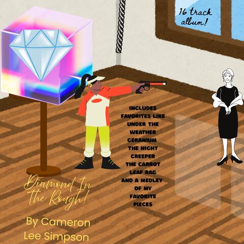 Diamond In The Rough! album art