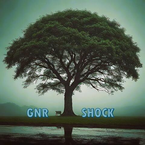 Shock album art