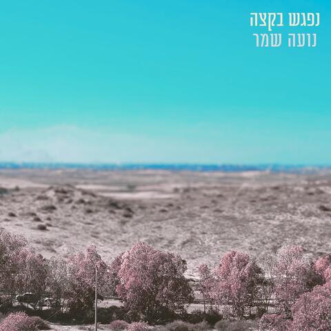 נפגש בקצה album art