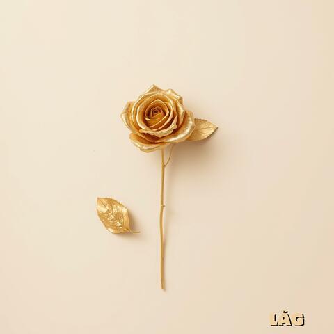 LÅG album art