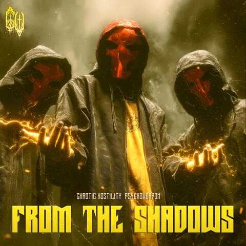 FROM THE SHADOWS album art