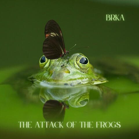 The Attack of the Frogs album art