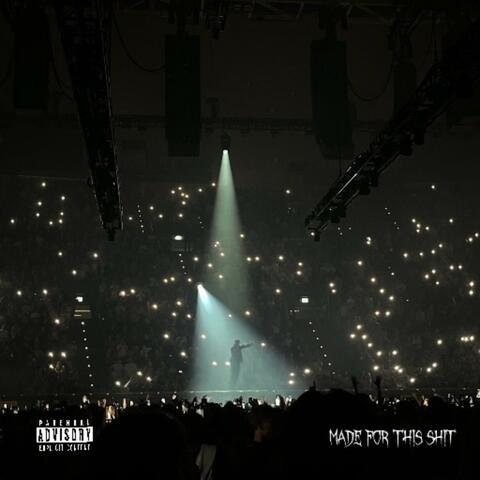 Made for this album art