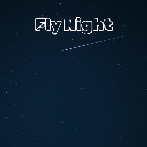 Fly Night album art