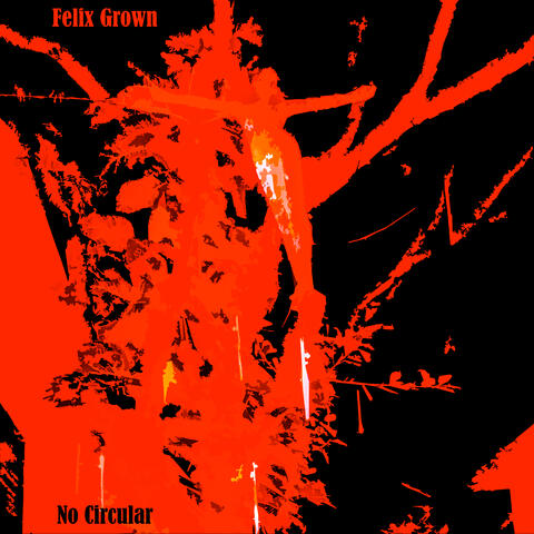 No Circular album art