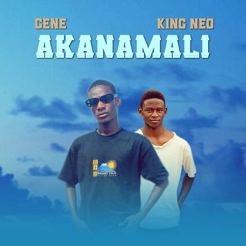 Akanamali album art
