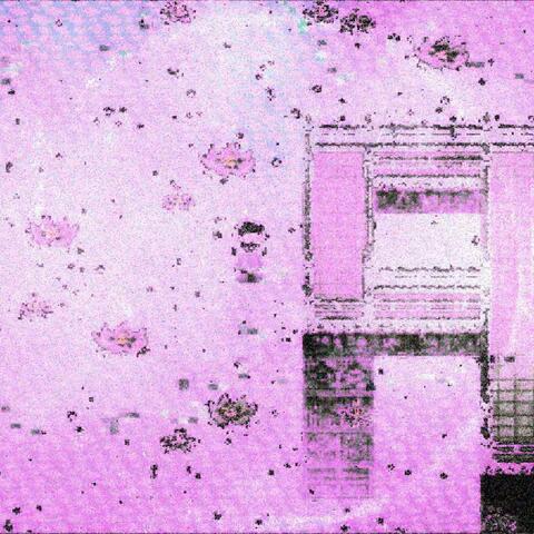 Lotus Waters album art