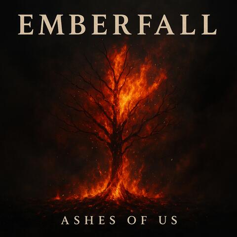 Ashes of us album art