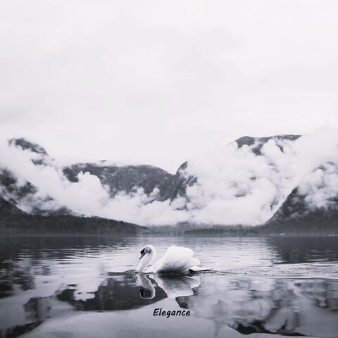 Elegance album art