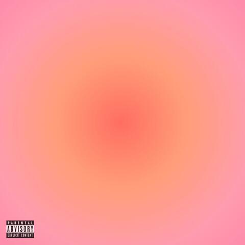 THE HOTTEST MIXTAPE 4 DA HOES, Vol. 1 album art