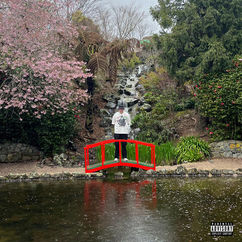 Precious Smile album art