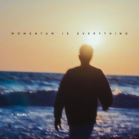 Momentum is Everything album art