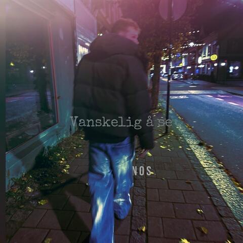 Vanskelig å se album art