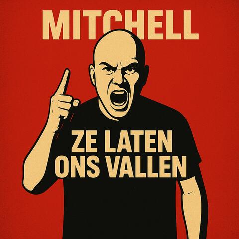 ZE LATEN ONS VALLEN album art