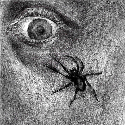 intransitivo album art