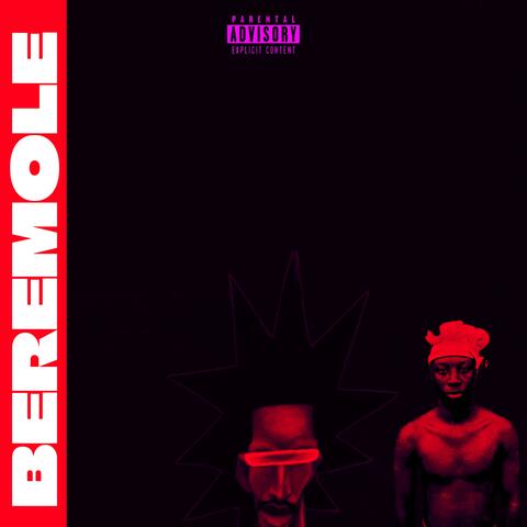 BEREMOLE album art