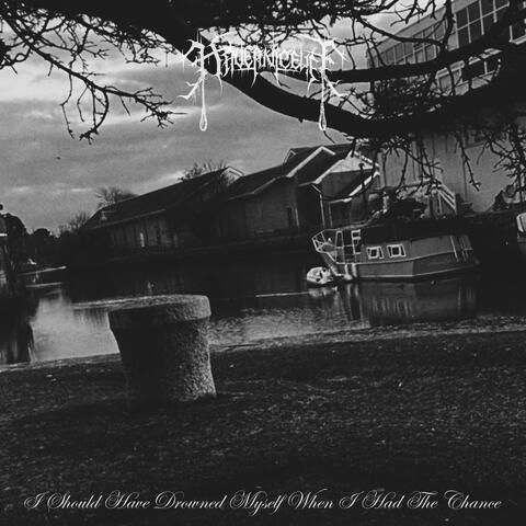 I Should Have Drowned Myself When I Had The Chance album art